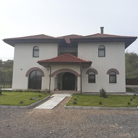 Cetea Pensiunea Casa Ungur מראה חיצוני תמונה