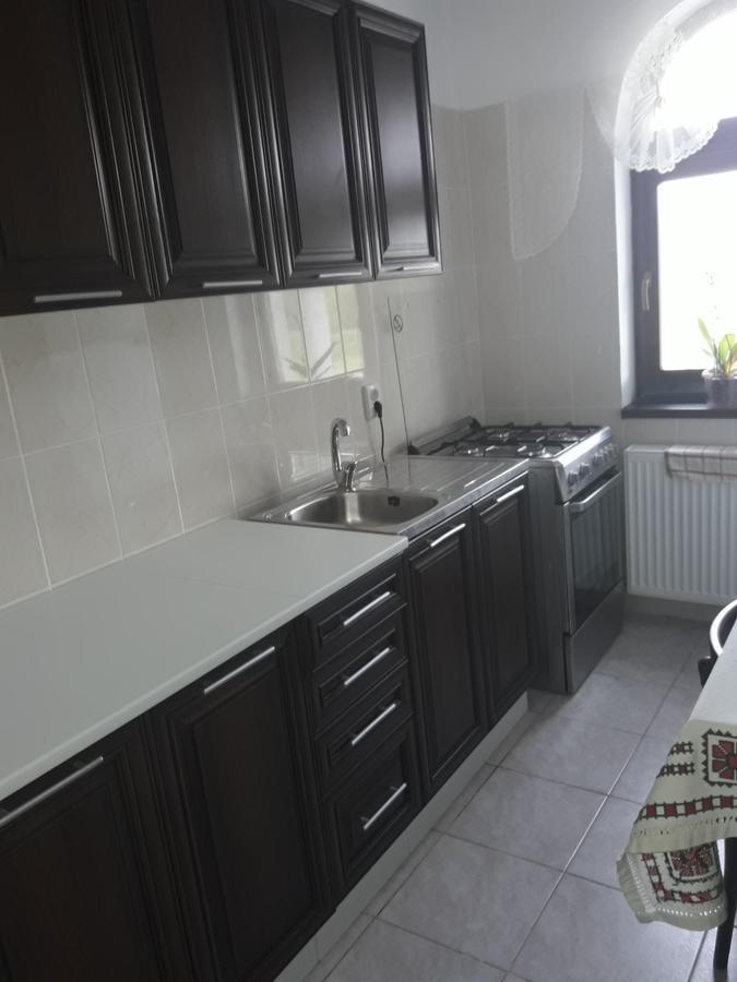 Cetea Pensiunea Casa Ungur מראה חיצוני תמונה