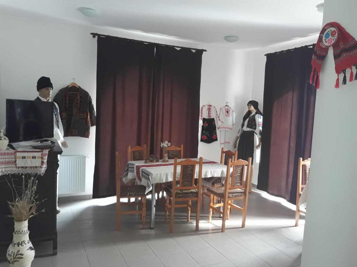 Cetea Pensiunea Casa Ungur מראה חיצוני תמונה