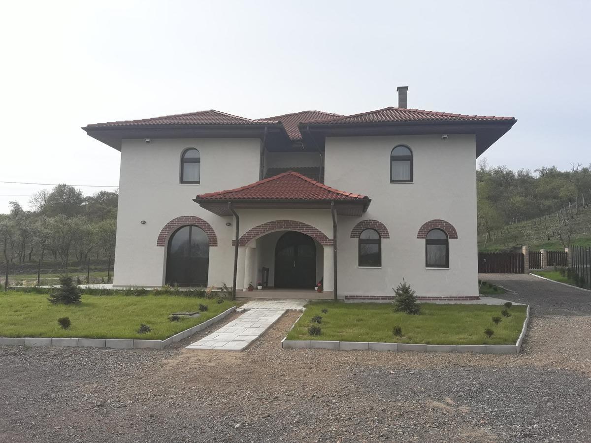 Cetea Pensiunea Casa Ungur מראה חיצוני תמונה
