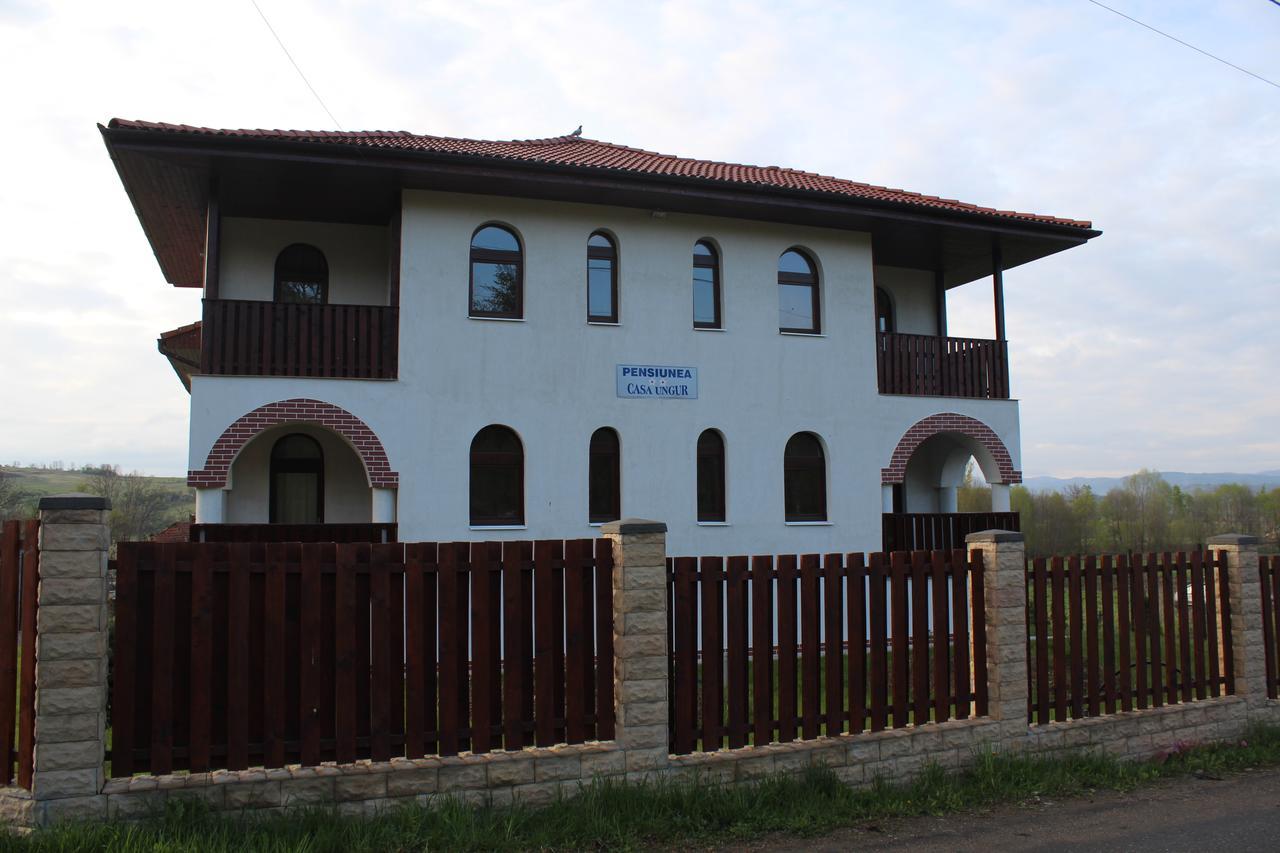 Cetea Pensiunea Casa Ungur מראה חיצוני תמונה
